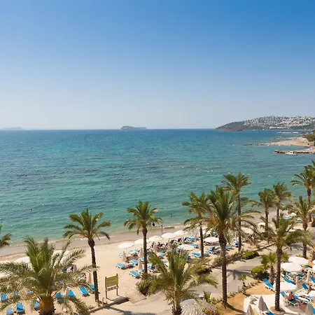 Sundance Turgutreis