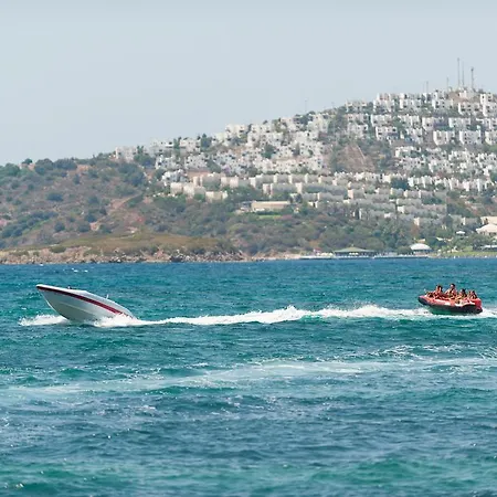 Sundance Turgutreis