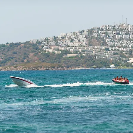 Sundance Тургутрейс